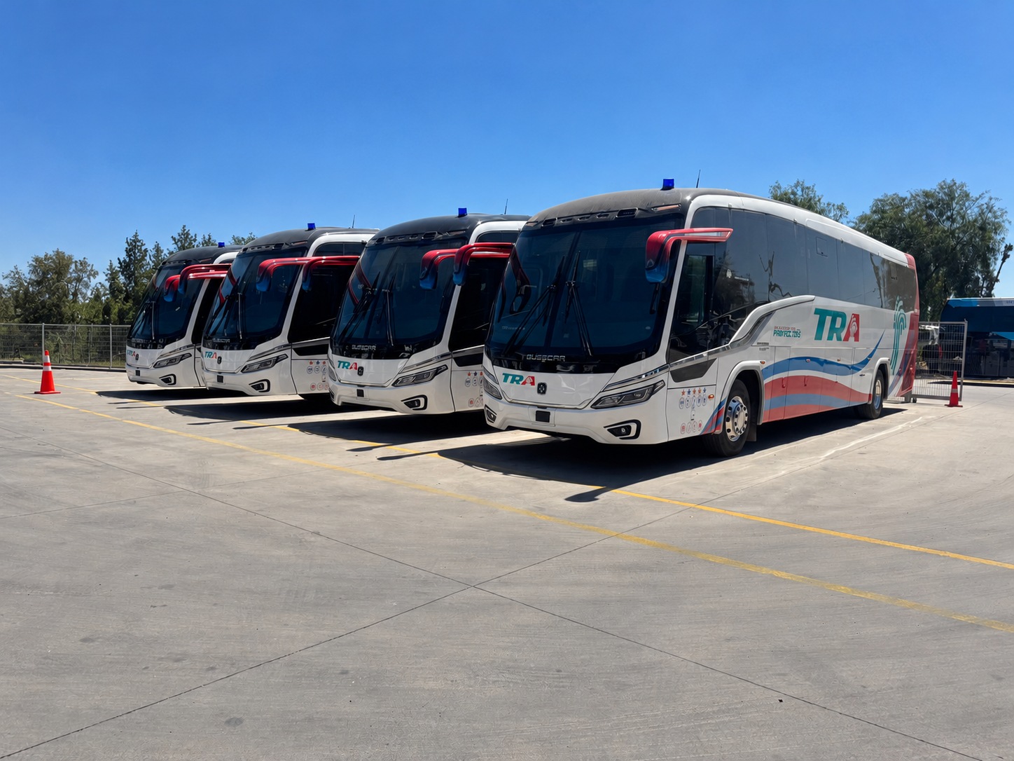 Vista de varios buses blancos de la flota TRA